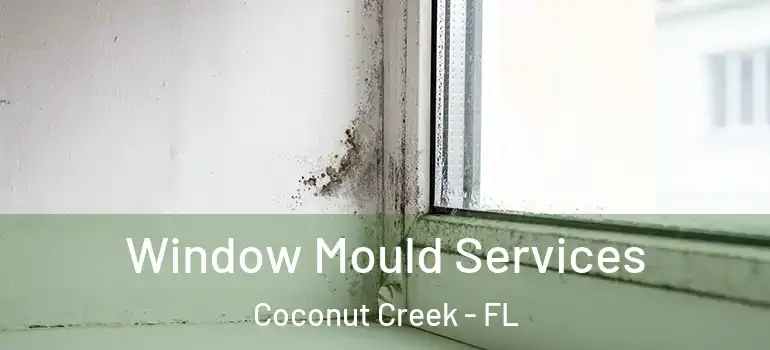  Window Mould Services Coconut Creek - FL